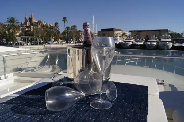 dron portal bells 2