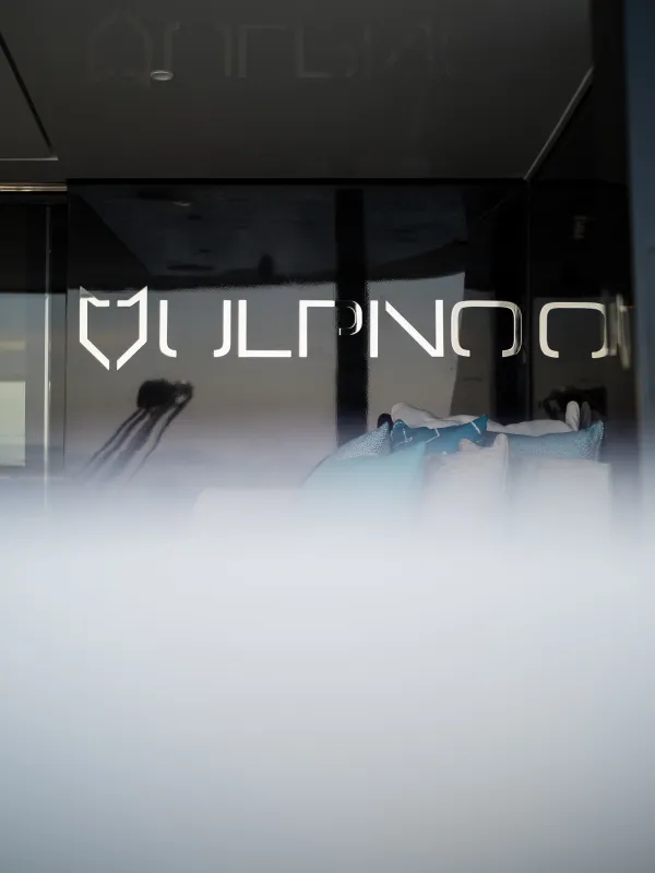 VULPINO