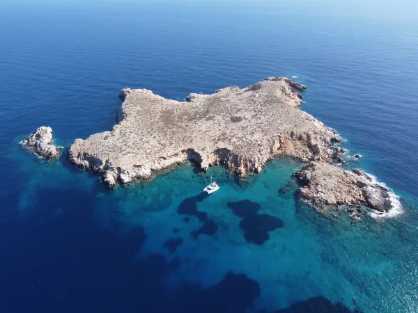 Aktaia