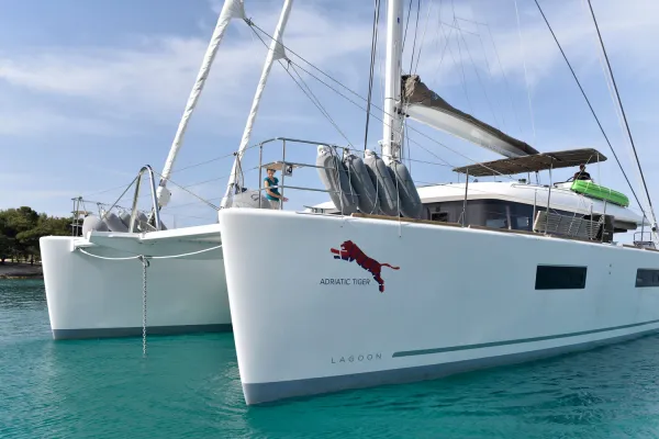 ADRIATIC TIGER