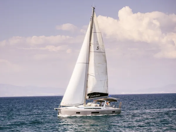 Lupo Di Mare