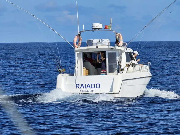 Raiado