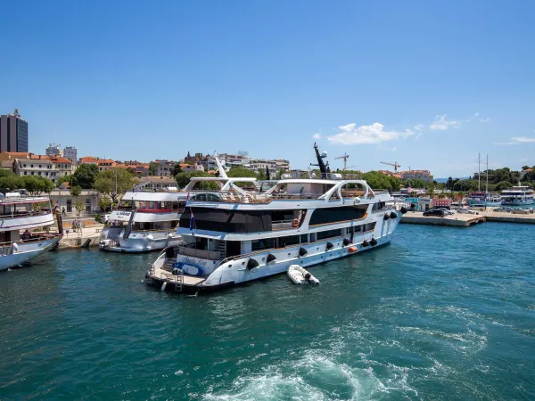 Adriatic King