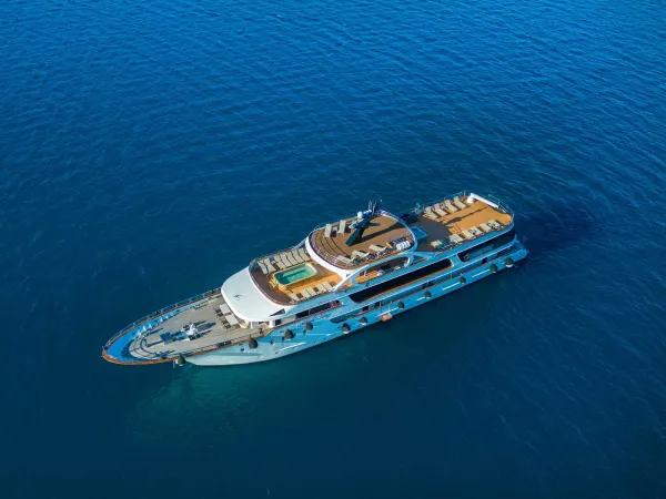 Adriatic King