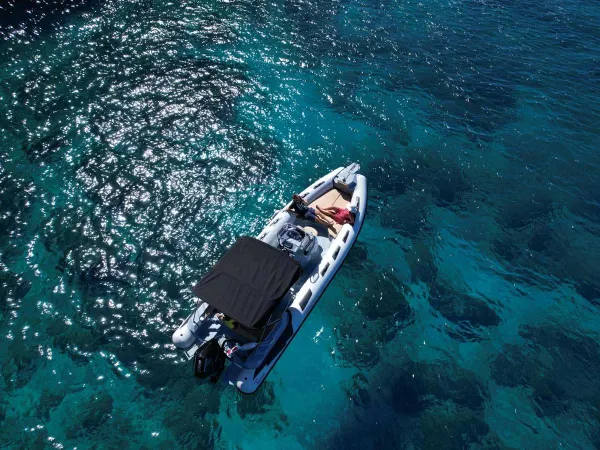 Ranieri Cayman