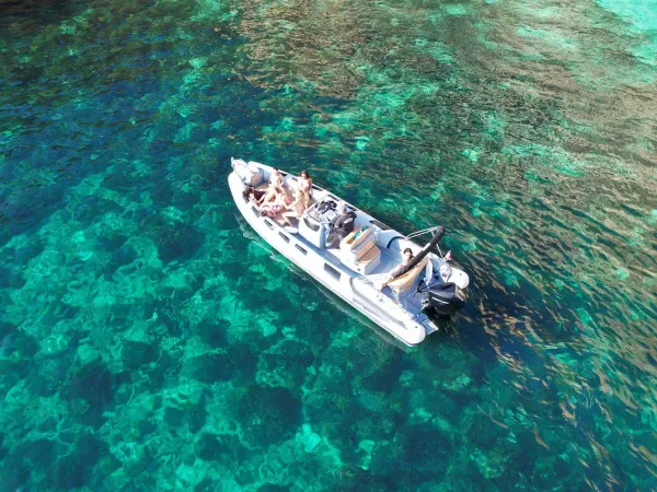 Ranieri Cayman