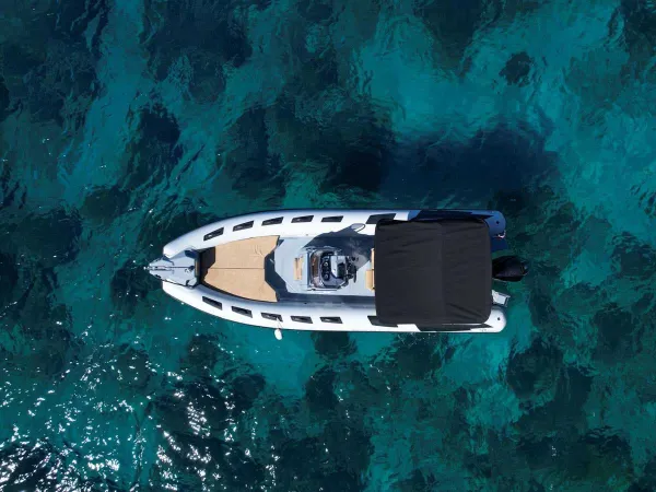 Ranieri Cayman