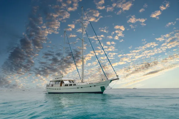 Gulet Yacht Ibiza