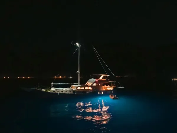 Ozde 1