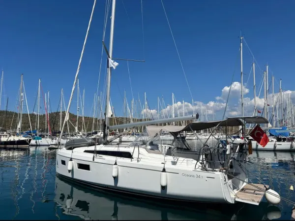 Sail Lynx