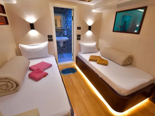 Twin bed cabin lower deck 1