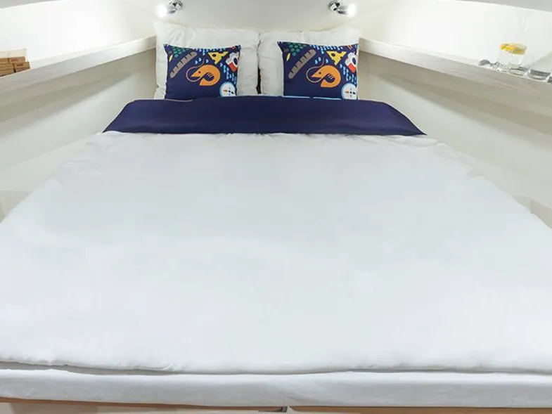 Horizon 1 - Premier 25 - Motor Yat içinde Decize