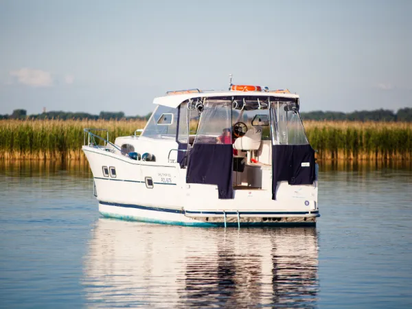 Nautika 1000 VIP
