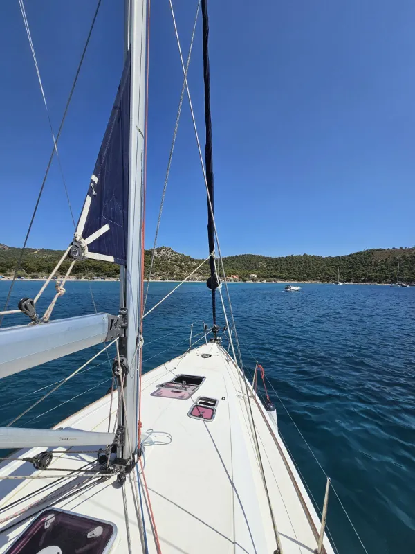 Posidonia