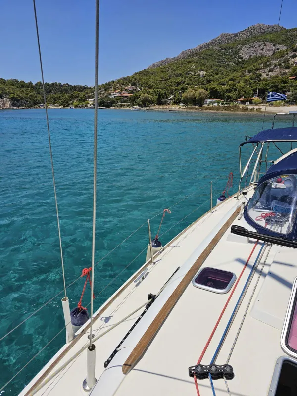 Posidonia