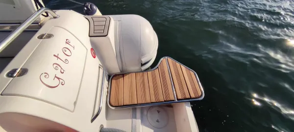 Wally Gator