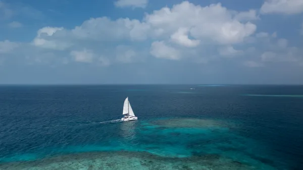 Sail La Vie