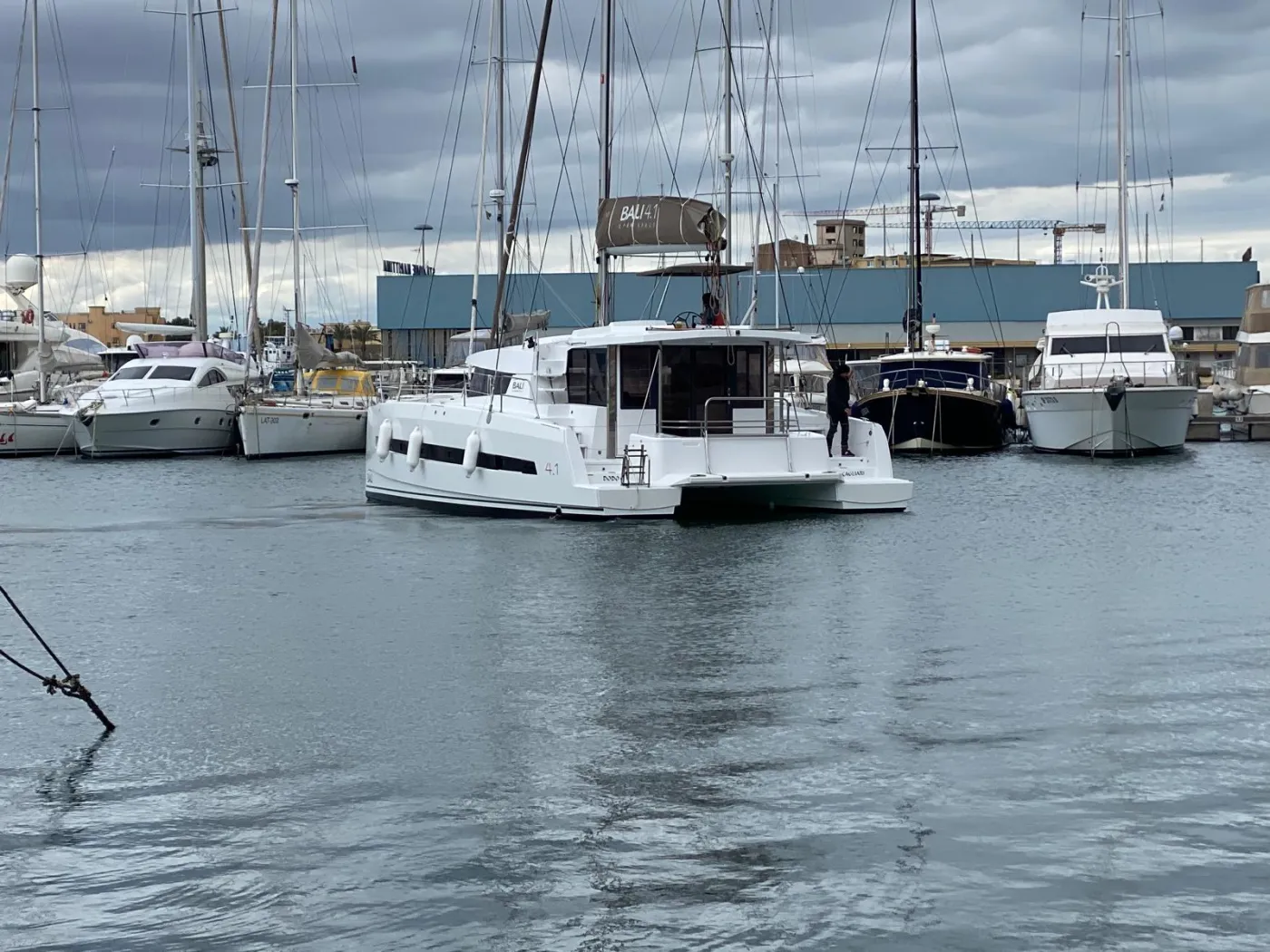Dodo - Catamaran in Cagliari