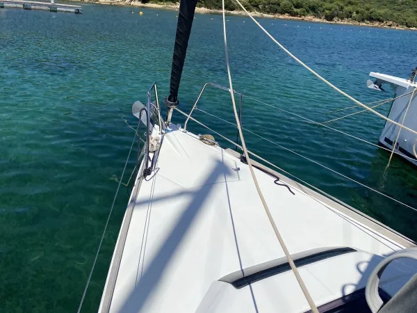Volpetta