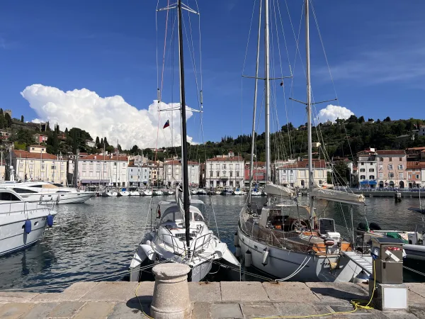Folded - Town harbour