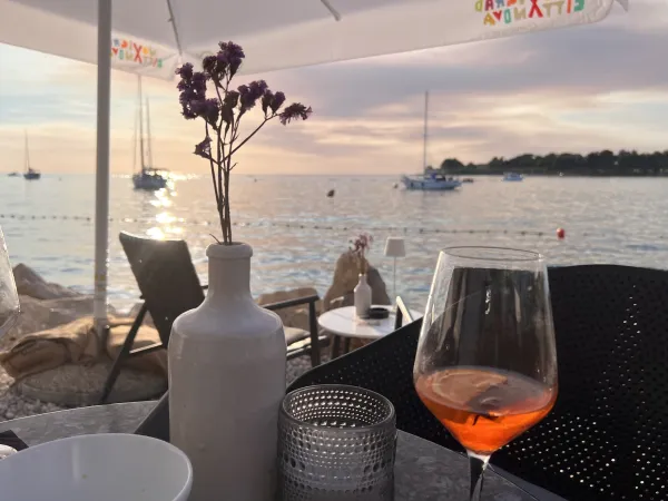 Beach Bar