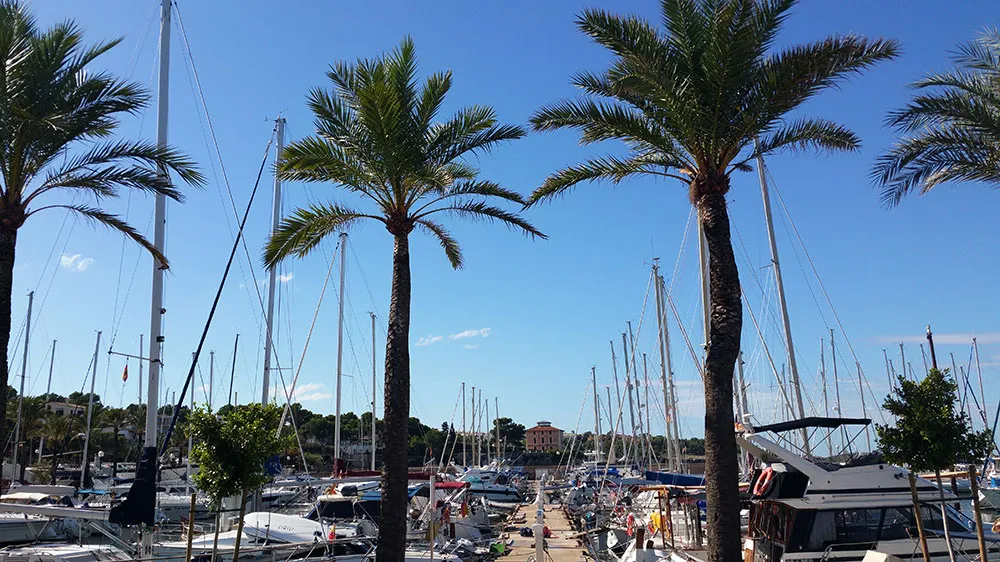 Quantum - Sailboat in S'Arenal