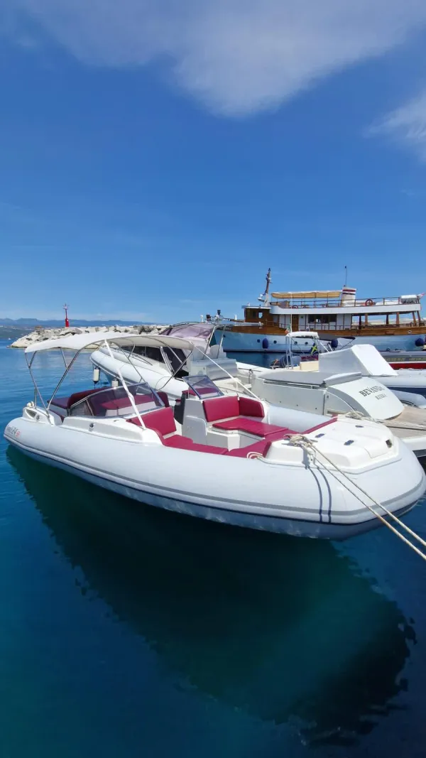 Marlin 24