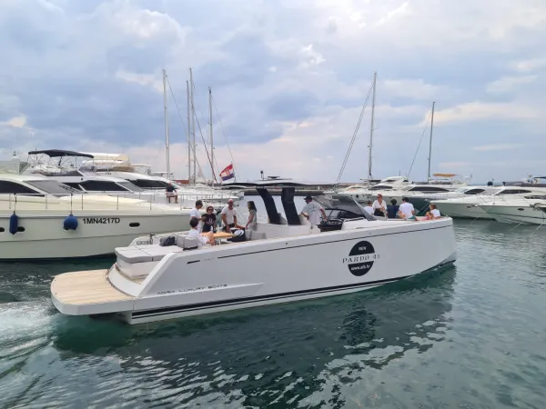 Pardo 43