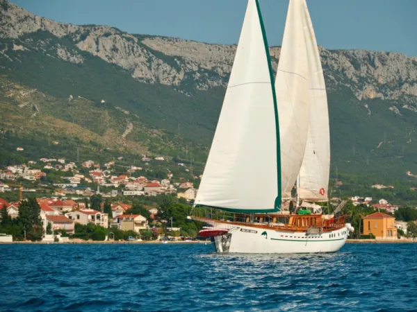 QUEEN OF ADRIATIC