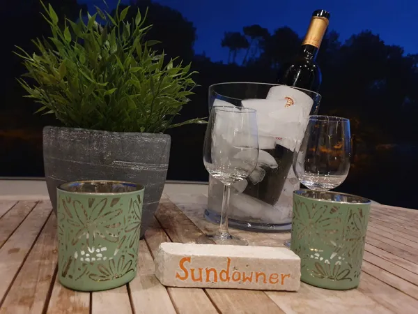 fly bridge wine