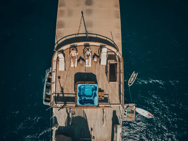 Seagull II