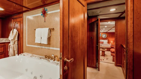 Seagull II