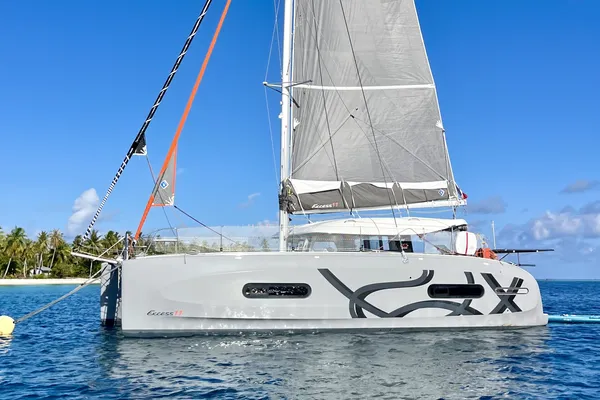 Albatross