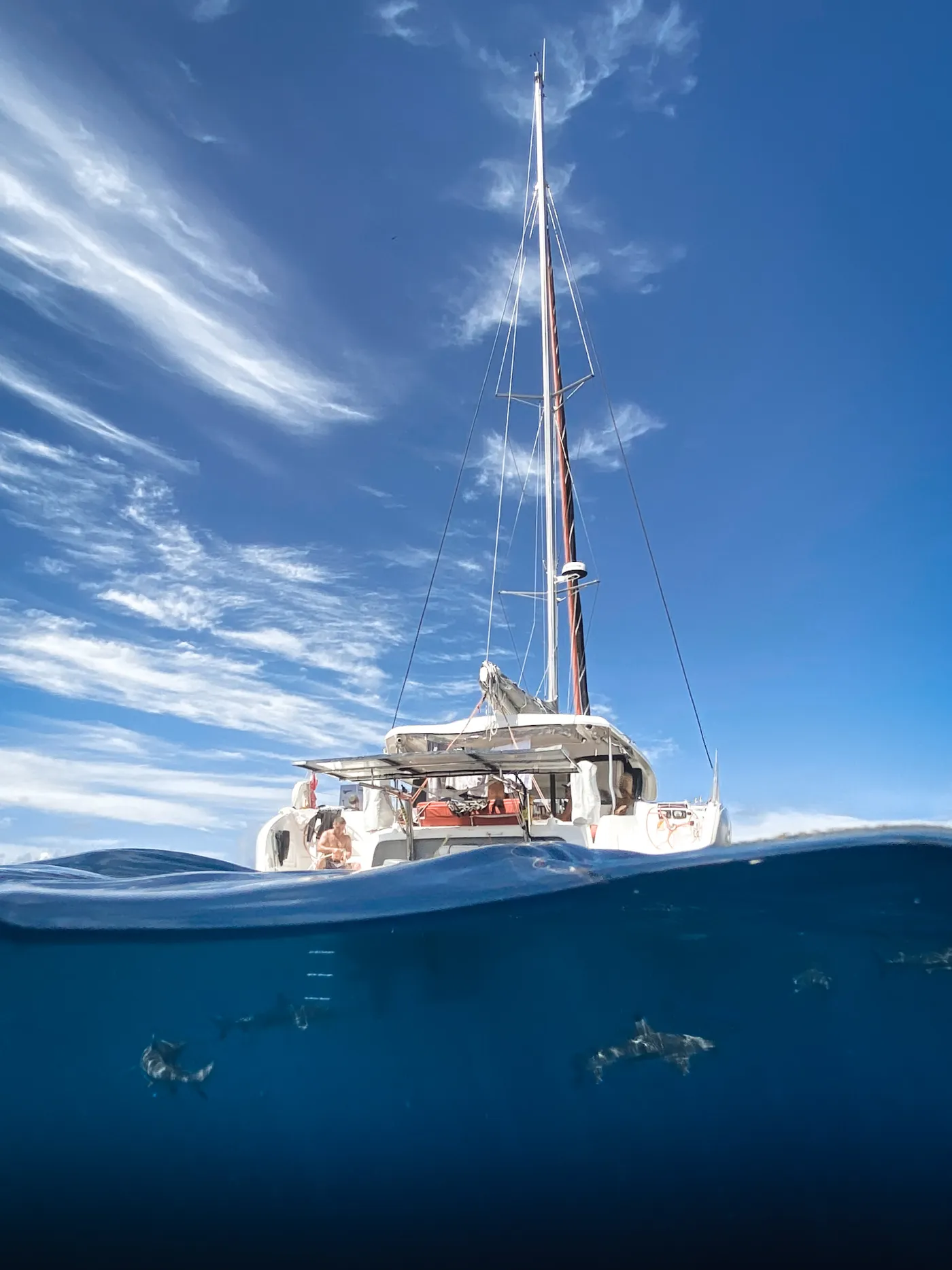 Mara’amu - Catamaran in Papeete