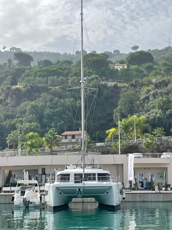 Silver Dolphin