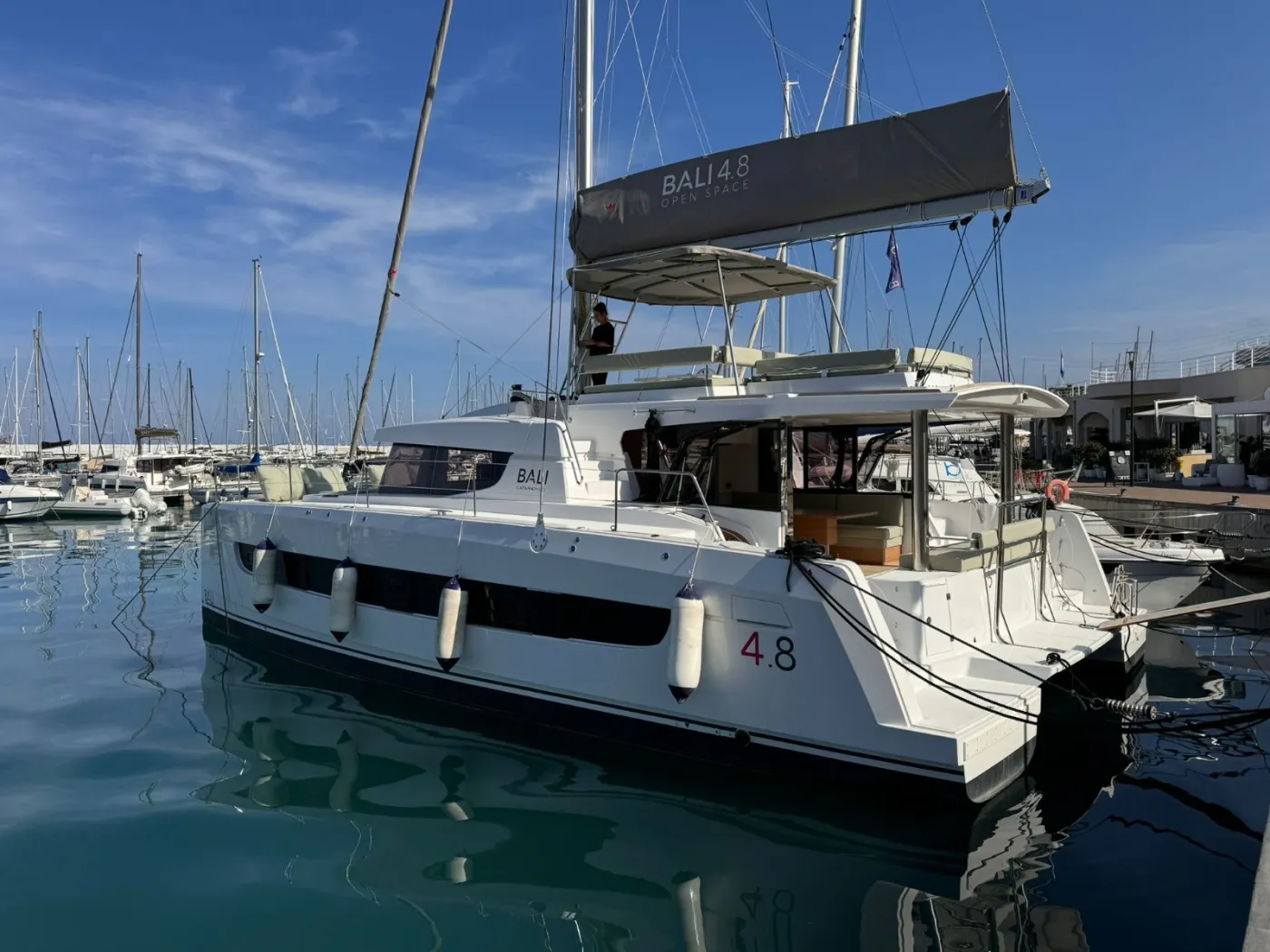 Silver Dolphin - Catamaran in Portisco