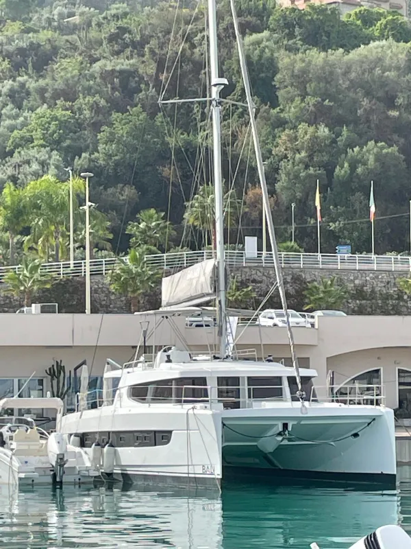 Silver Dolphin
