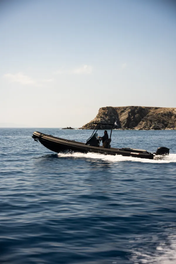 Scorpion 810