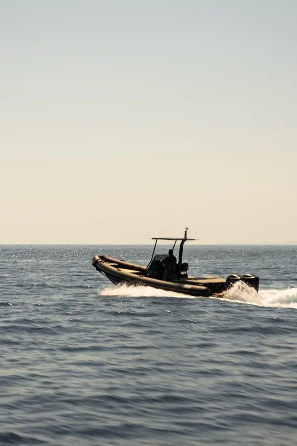 Scorpion 810