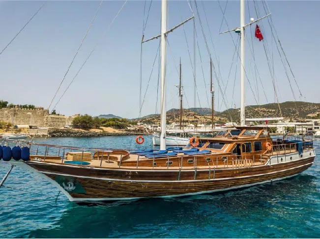 Carpe Diem XI - Gulet in Eskiçeşme