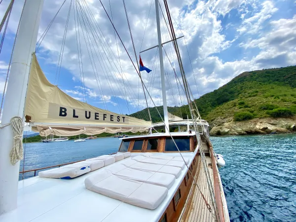 Bluefest