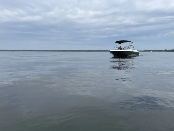 Bayliner E16