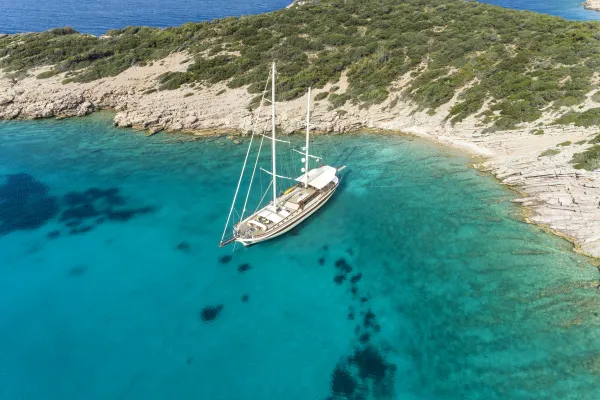 Estrella de Mar