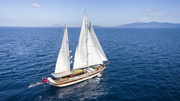Estrella de Mar