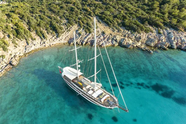 Estrella de Mar