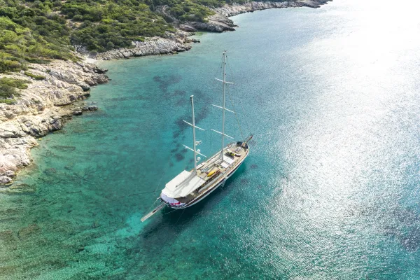 Estrella de Mar