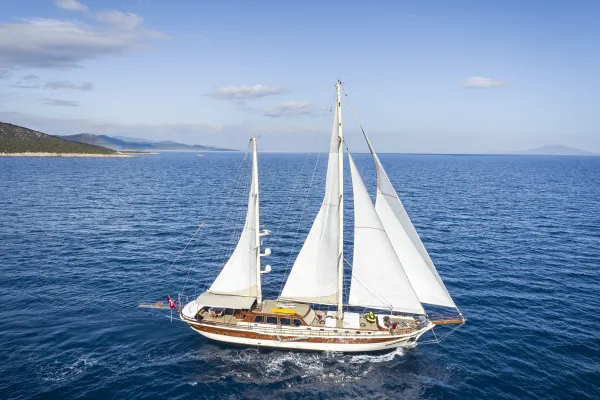 Estrella de Mar