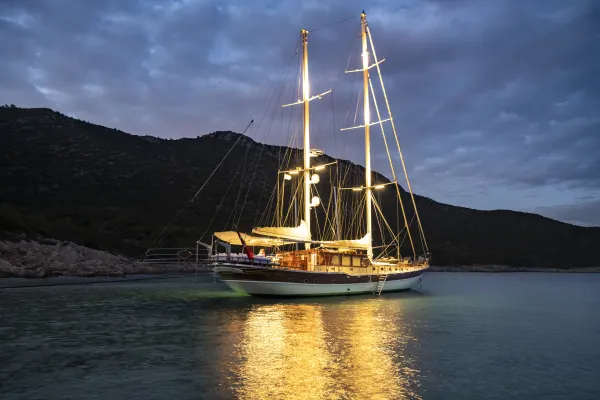 Estrella de Mar