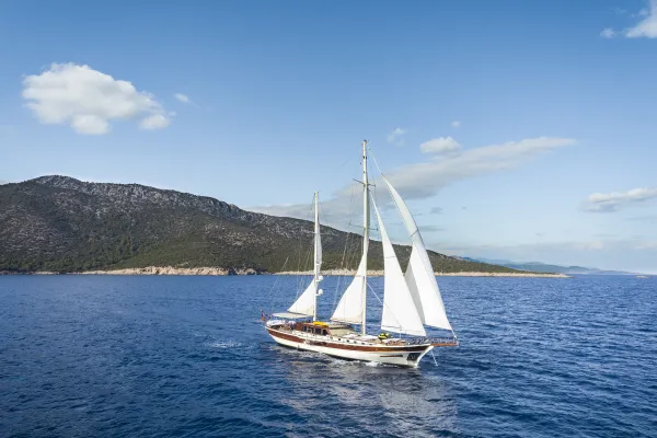Estrella de Mar
