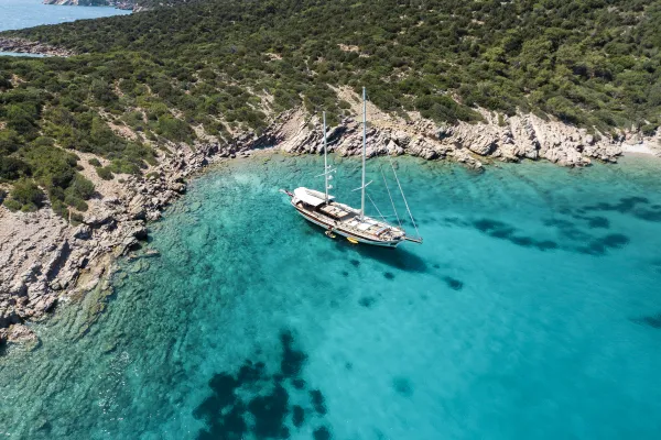 Estrella de Mar